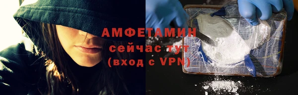 сатива Алзамай