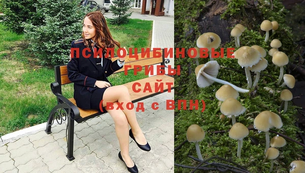 прущий лед Алексеевка