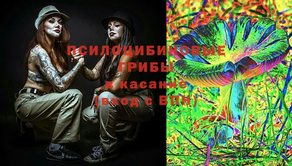 сатива Алзамай